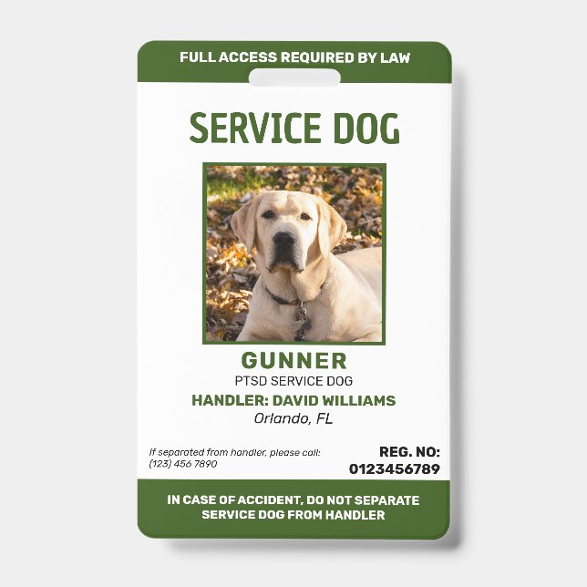 Badge d'identification de chien d'assistance vert  (Avant)