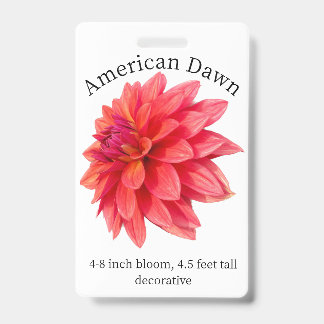 Badge d'identification de Dahlia de l'aube américa