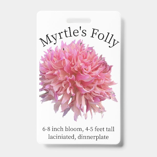 Badge d'identification de Dahlia Folie de Myrtle (Avant)
