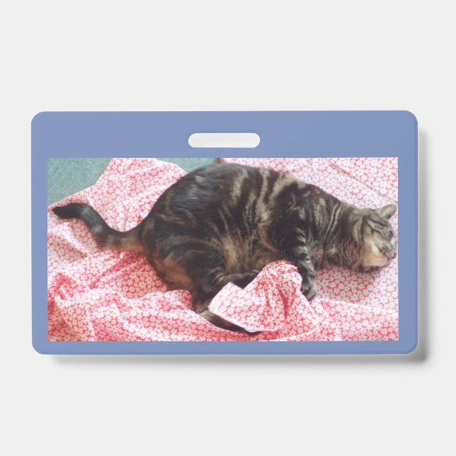 Badge d'identification du pilote Dave (Avant)