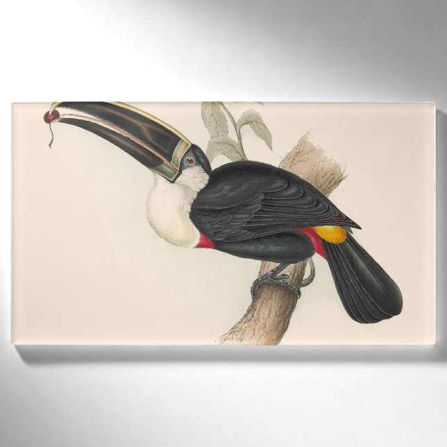 Badge D'identification Impression du Toucan de Cuvier : Oiseau Tropical V (Devant)