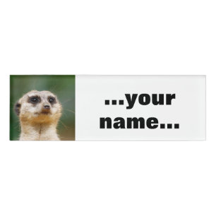 Badge D'identification Meerkat 005
