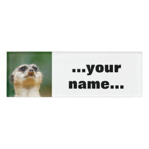 Badge D'identification Meerkat 012