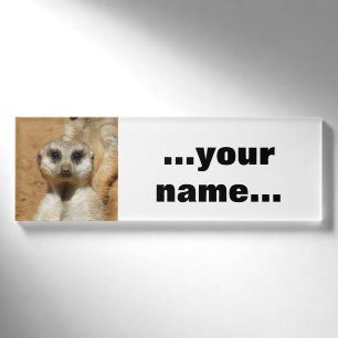 Badge D'identification Meerkat 016