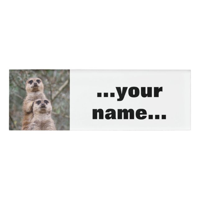 Badge D'identification Meerkat 035 (Devant)