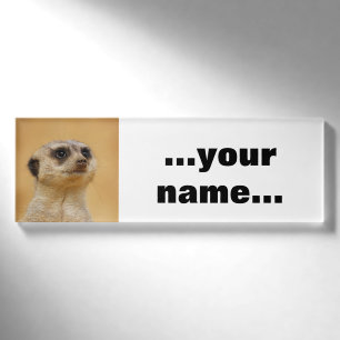 Badge D'identification Meerkat 037