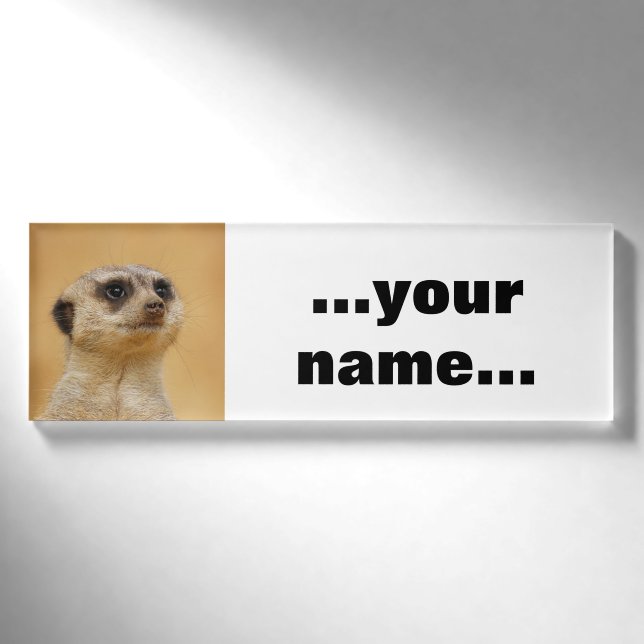 Badge D'identification Meerkat 037 (Devant)