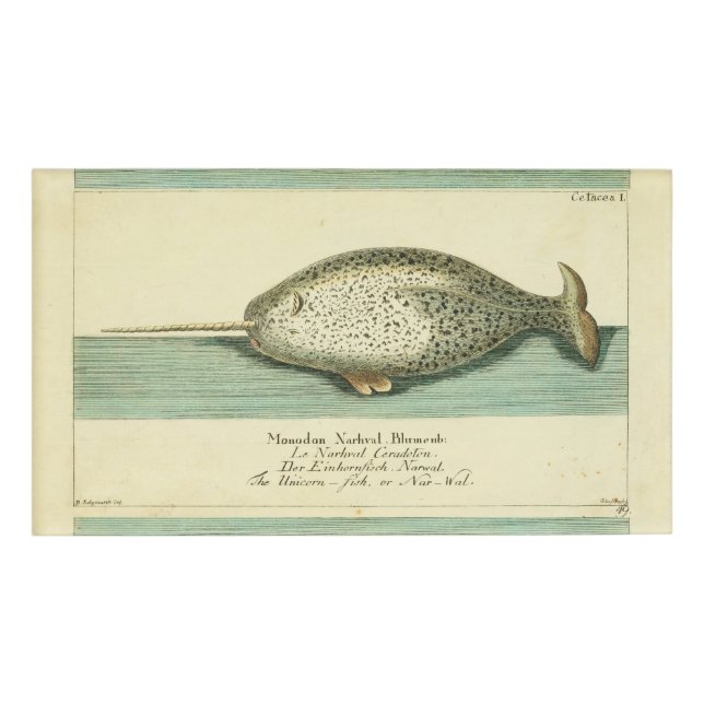 Badge D'identification Narwhal Antique Baleine Aquarelle Art scientifique (Devant)