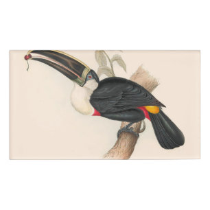 Badge D'identification Peinture animalière d'antiquités Toucans