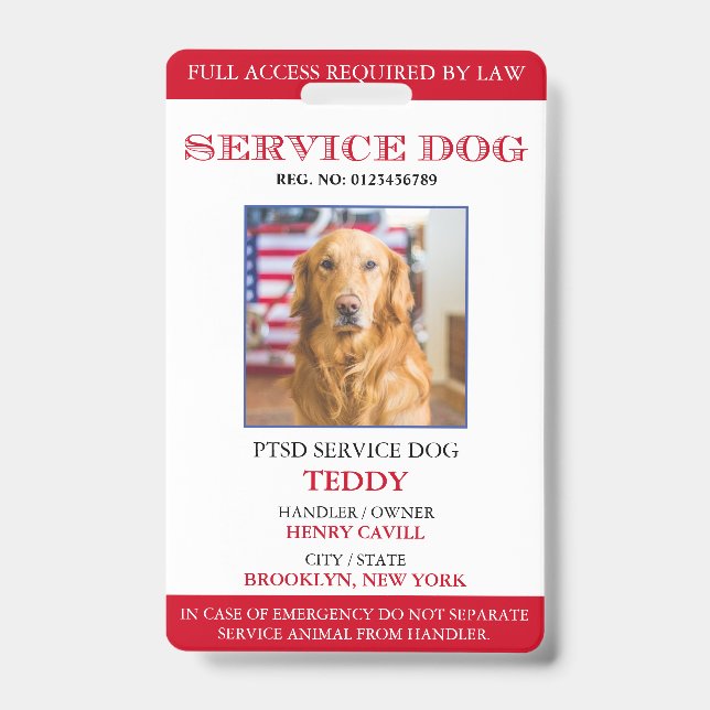 Badge d'identification personnalisé pour chien d'a (Avant)