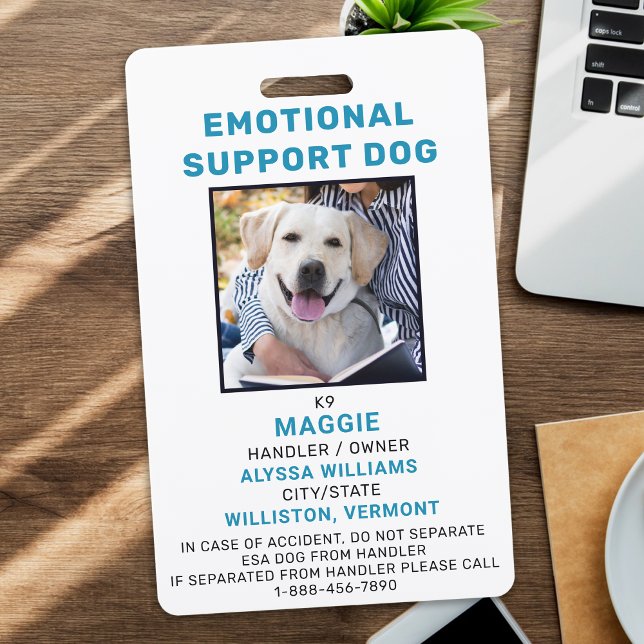 Badge d'identification personnalisé pour chien de  (Créateur téléchargé)