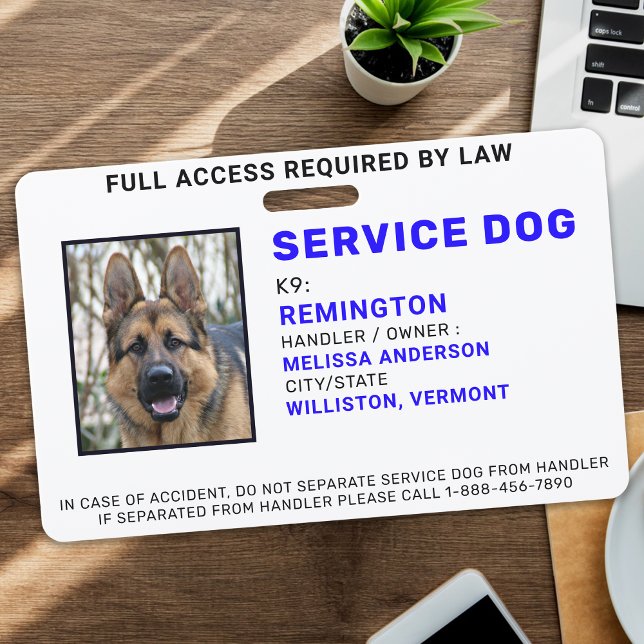 Badge d'identification personnalisé pour chien de  (Créateur téléchargé)