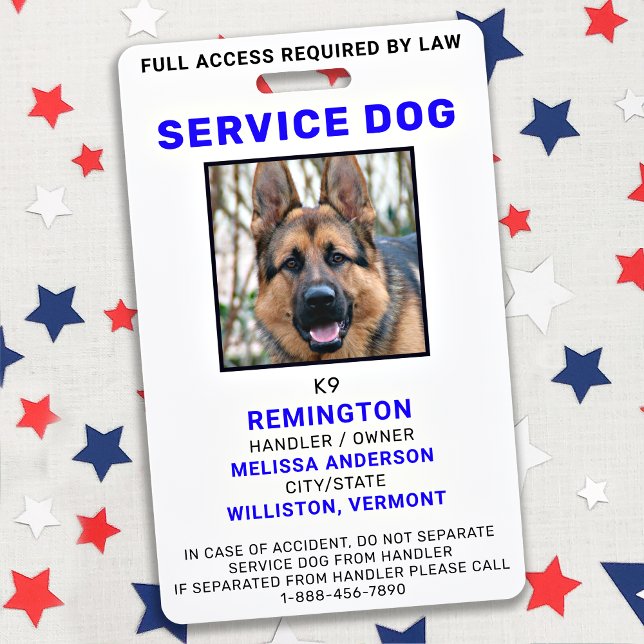 Badge d'identification personnalisé pour chien de  (Créateur téléchargé)