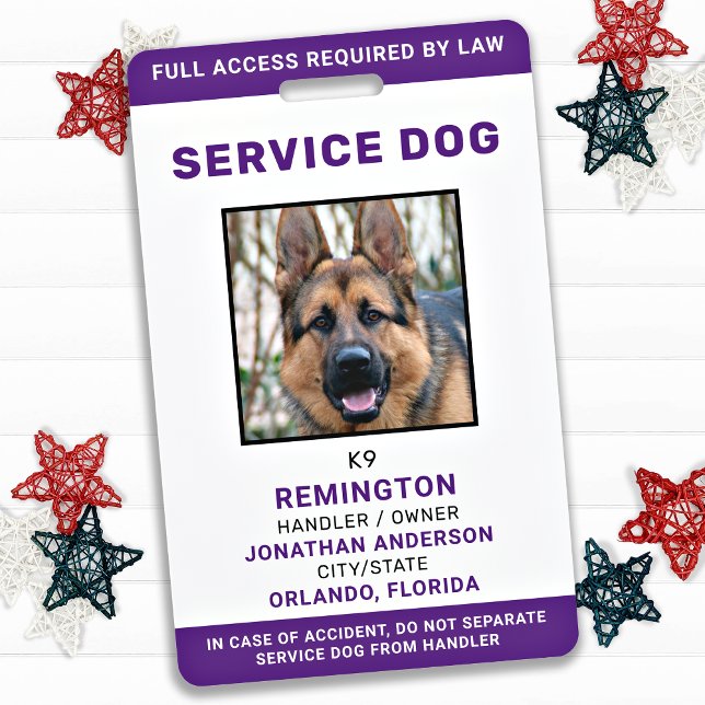 Badge d'identification personnel violet pour chien (Créateur téléchargé)
