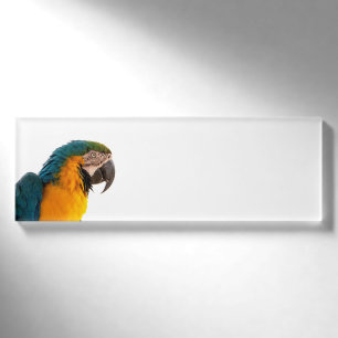 Badge D'identification Post-it Notes perroquet