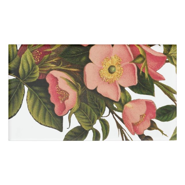 Badge D'identification Roses Anciennes Jolies Roses Botaniques Roses (Devant)