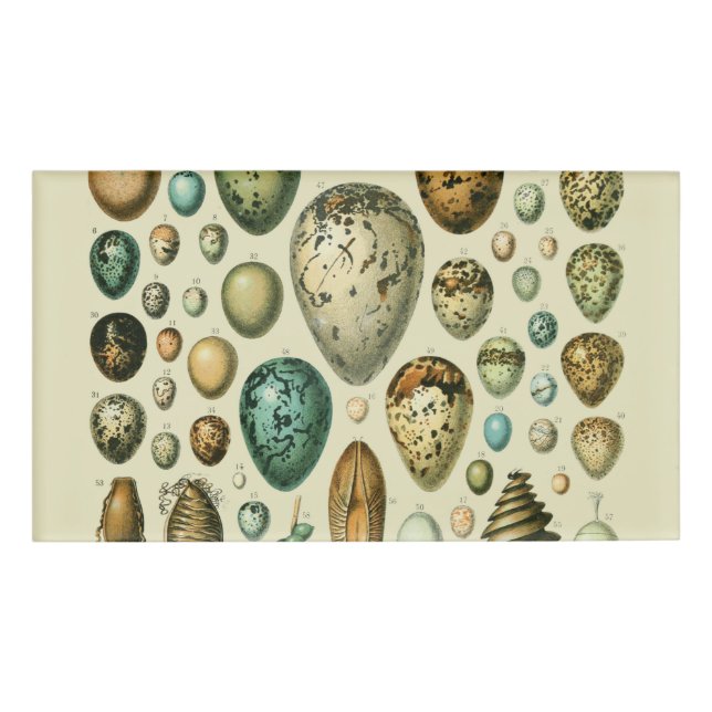 Badge D'identification Vintage Bird Eggs French Fish Egg (Devant)