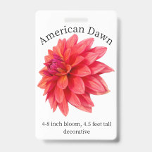 Badge d'identité American Dawn Dahlia