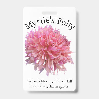 Badge d'identité de la Folly Dahlia de Myrtle