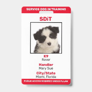 Badge d'information SDiT (Chien de Service en Form