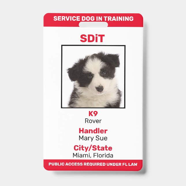 Badge d'information SDiT (Chien de Service en Form (Avant)