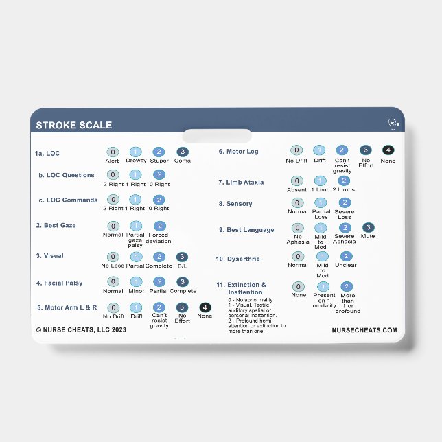 BADGE ÉCHELLE DE DÉMARRAGE (Face)