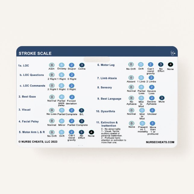 BADGE ÉCHELLE DE DÉMARRAGE (Devant)