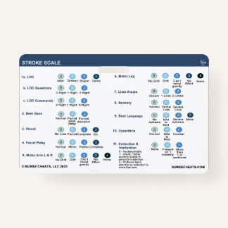 BADGE ÉCHELLE DE TRAJET