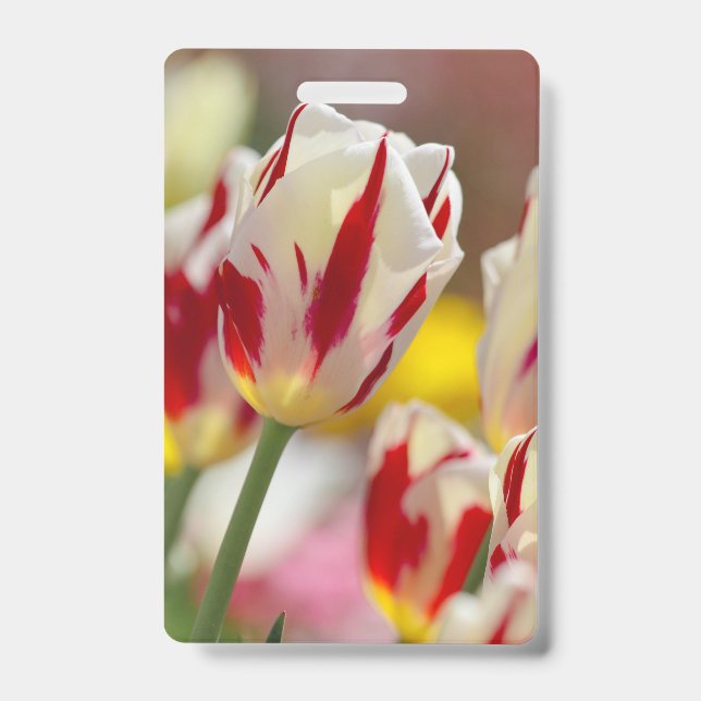 Badge Embrassé avec du rouge  (Avant)