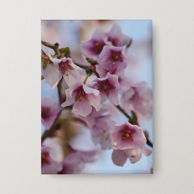 Badge en fleurs de cerisier rose (Recto)