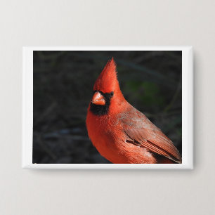 Badge Épinglette de portrait de cardinal rouge