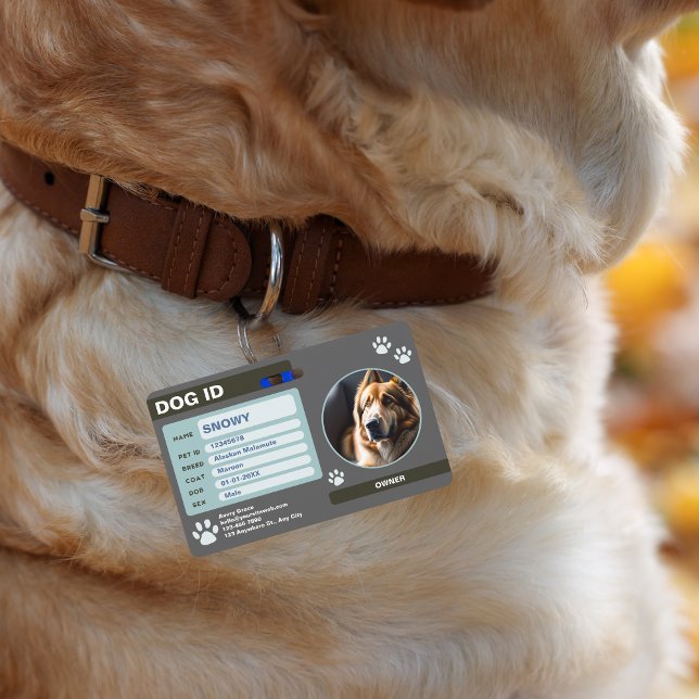 Badge Étiquette d'identification de chien moderne gris v (Grey Green Modern Dog ID Tag: Simple and Stylish Badge)