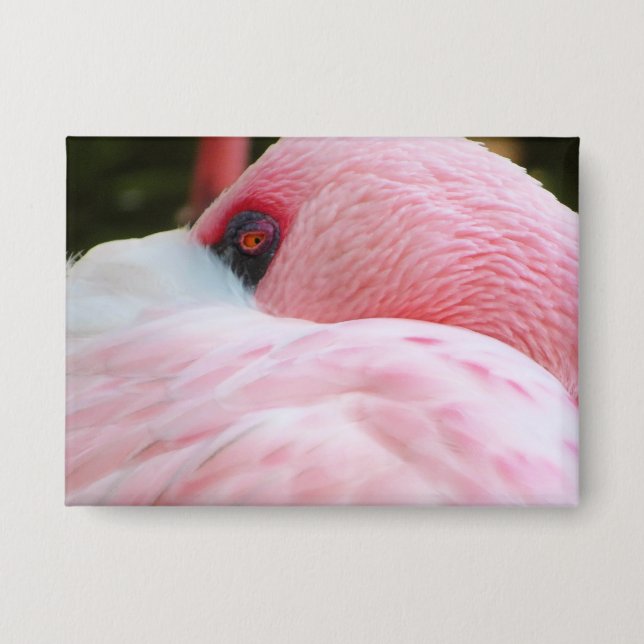 Badge Flamant rose (Recto)