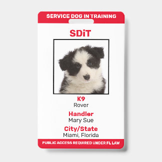 Badge Floride SDiT (Service Dog In Training) insigne d'i