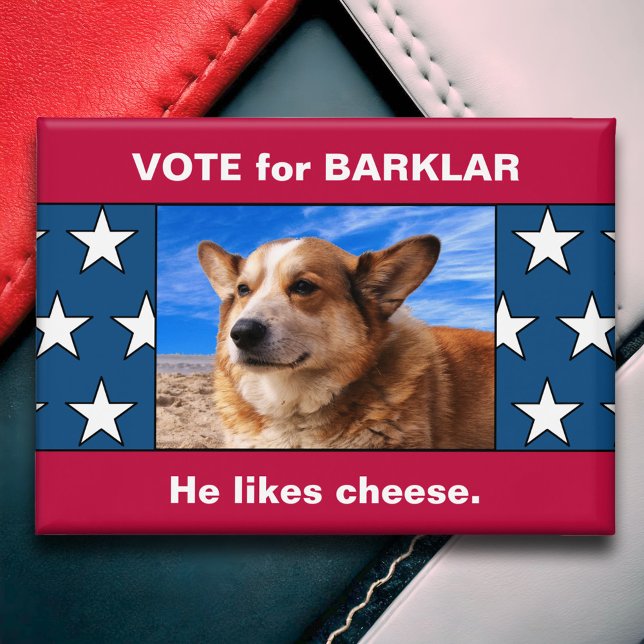 Badge Funky Custom Chien Campagne électorale du présiden (Funny Custom Dog Photo 2024 Presidential Election Campaign Button Non Partisan Political Humor)
