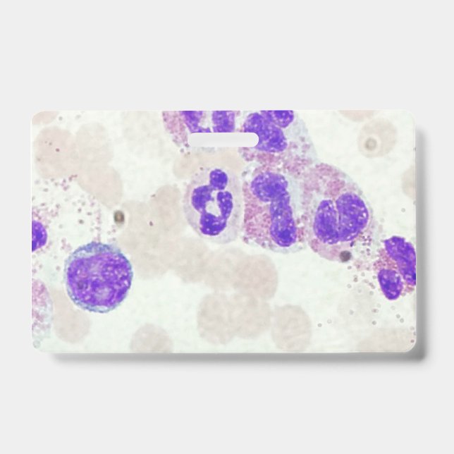 Badge GR globules blancs sur lame au microscope laborato (Avant)
