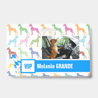 Badge Grand Danois