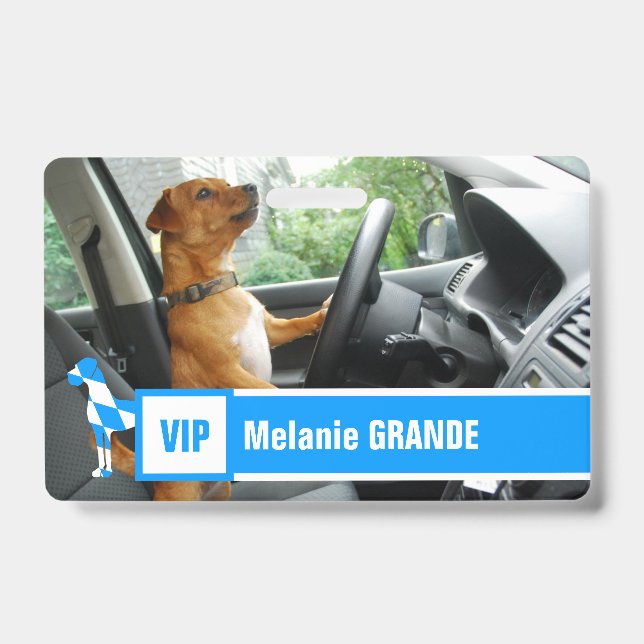 Badge Grand Danois (Avant)