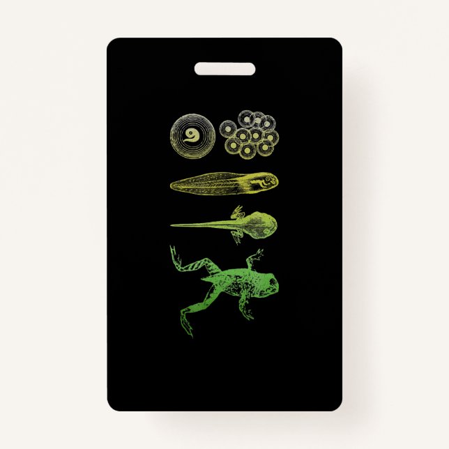Badge Grenouille Tadpole Métamorphose Cycle de vie Biolo (Devant)