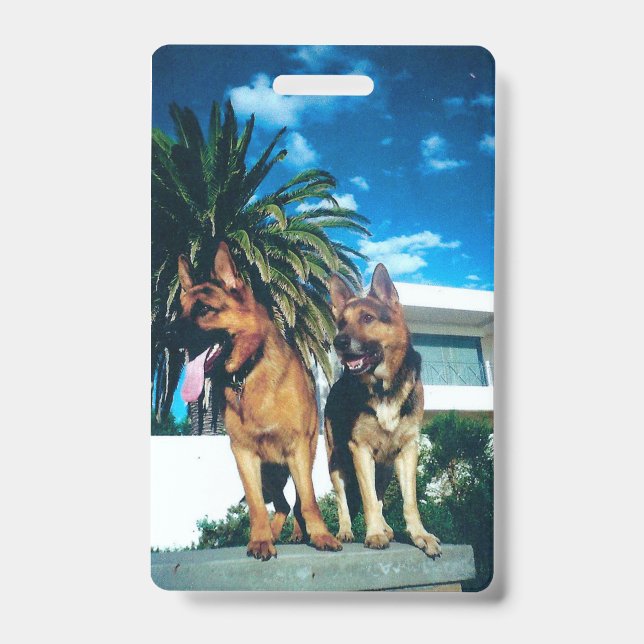 Badge groupe german shepherd (Avant)