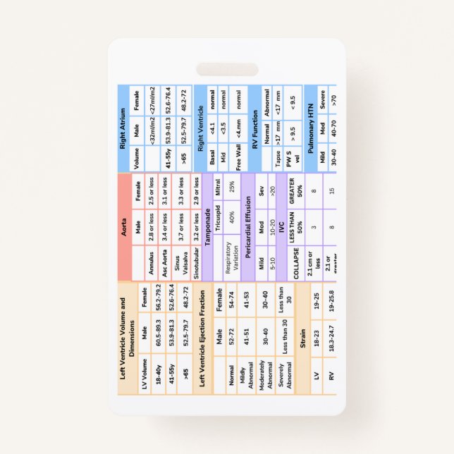 Badge Guide de référence rapide d'un insigne Echo (Devant)