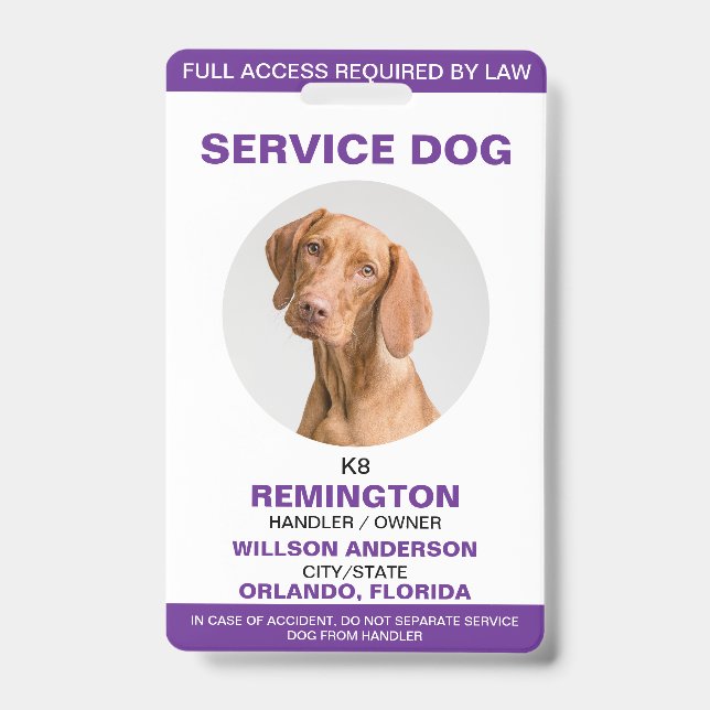Badge Identifiant photo de chien de service blanc pourpr (Face)