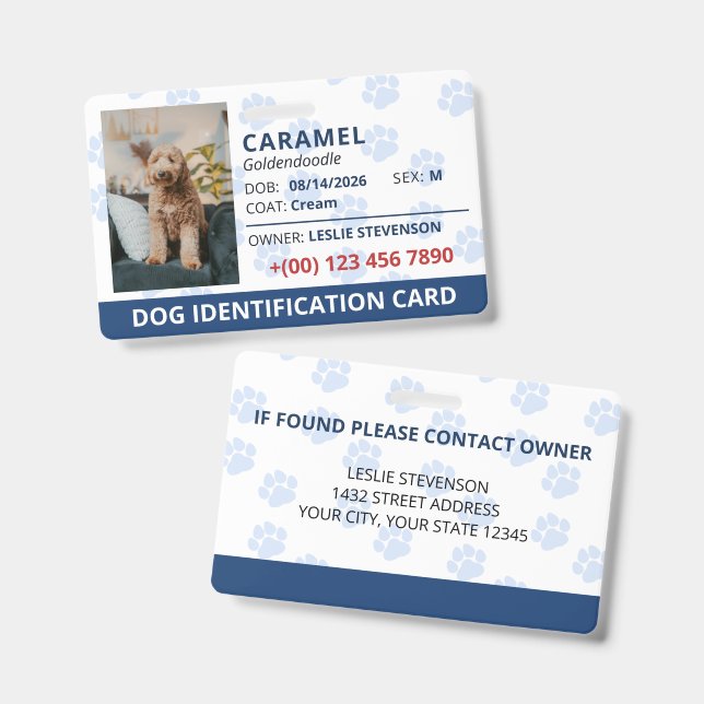 Badge Identification de chien avec photo et nom Empreint (Avant & arrière)