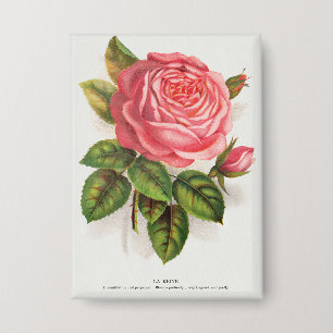 Badge Illustration Florale Rose Rose Antique Cottagecore