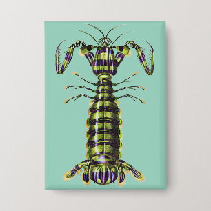 Badge Impression d'art marine de la crevette mantis géan