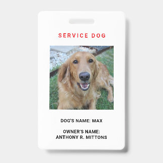 Badge Insigne d'identification de chien de service
