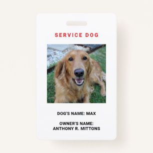 Badge Insigne d'identification de chien de service