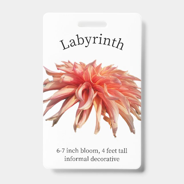 Badge Insigne d'identification de Labyrinth Dahlia (Avant)