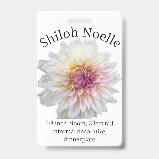Badge Insigne d'identité Shiloh Noelle Dahlia (Avant)
