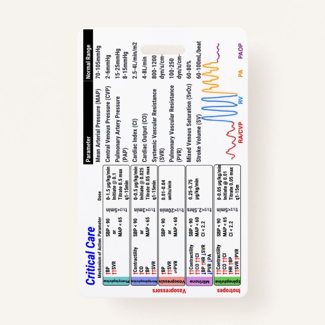 Badge Insigne ICU Critical Care Buddy (Devant)